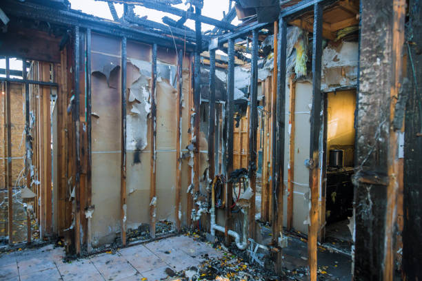 Professional Fire Damage Removal technician working in Allen, TX